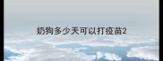 奶狗多少天可以打疫苗