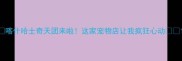 喀什哈士奇天团来啦这家宠物店让我疯狂心动