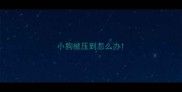 小狗被压到怎么办