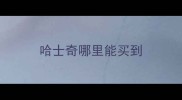 哈士奇哪里能买到