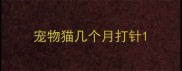 宠物猫几个月打针