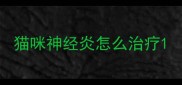 猫咪神经炎怎么治疗