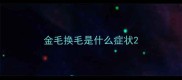 金毛换毛是什么症状