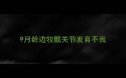 9月龄边牧髋关节发育不良
