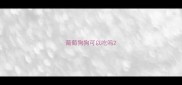 葡萄狗狗可以吃吗