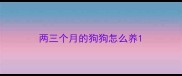 两三个月的狗狗怎么养