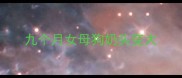 九个月女母狗奶头变大
