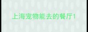 上海宠物能去的餐厅
