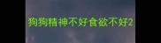 狗狗精神不好食欲不好