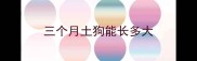 三个月土狗能长多大