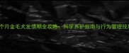 6个月金毛犬发情期全攻略科学养护指南与行为管理技巧