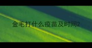 金毛打什么疫苗及时间