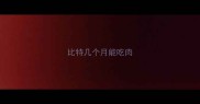 比特几个月能吃肉