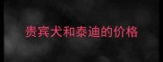 贵宾犬和泰迪的价格