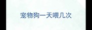 宠物狗一天喂几次
