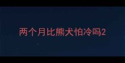 两个月比熊犬怕冷吗