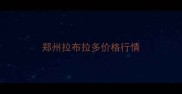 郑州拉布拉多价格行情