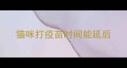 猫咪打疫苗时间能延后