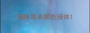 猫咪耳朵黑色液体