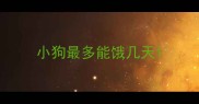 小狗最多能饿几天
