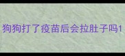 狗狗打了疫苗后会拉肚子吗