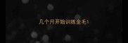 几个月开始训练金毛