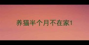养猫半个月不在家