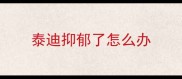 泰迪抑郁了怎么办