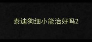 泰迪狗细小能治好吗