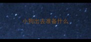 小狗出去准备什么
