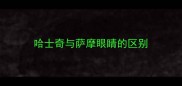 哈士奇与萨摩眼睛的区别
