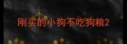 刚买的小狗不吃狗粮