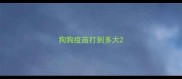 狗狗疫苗打到多大