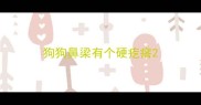 狗狗鼻梁有个硬疙瘩
