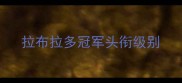 拉布拉多冠军头衔级别