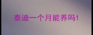 泰迪一个月能养吗