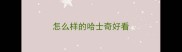 怎么样的哈士奇好看