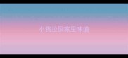 小狗拉屎家里味道