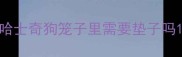 哈士奇狗笼子里需要垫子吗