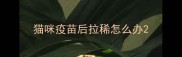 猫咪疫苗后拉稀怎么办
