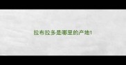 拉布拉多是哪里的产地
