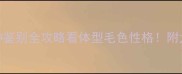 拉布拉多纯种鉴别全攻略看体型毛色性格附犬舍避坑指南