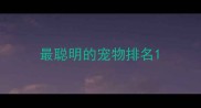 最聪明的宠物排名