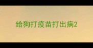 给狗打疫苗打出病