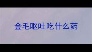金毛呕吐吃什么药