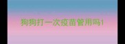 狗狗打一次疫苗管用吗