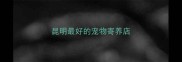昆明最好的宠物寄养店