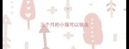 三个月的小猫可以驱虫