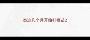 泰迪几个月开始打疫苗
