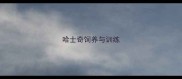 哈士奇饲养与训练